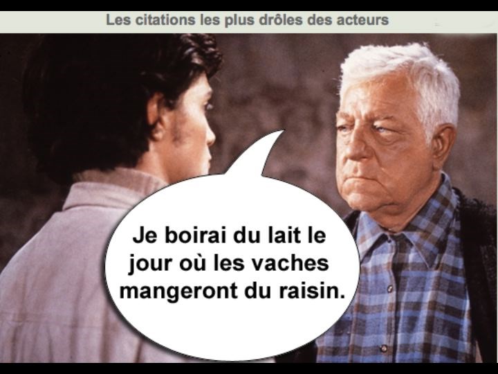 09 Les Meilleures Citations Droles De Stars