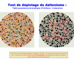 Télécharger le diaporama PPS