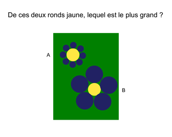 Télécharger le diaporama PPS